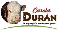 Corrales Durán