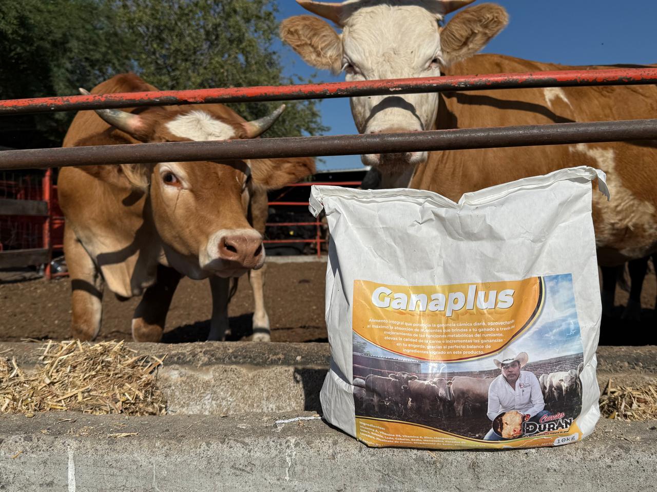 Ganaplus Alimento Integral Para Ganado De Engorda Corrales Durán 10 kg + Nitrógeno Corrales Durán